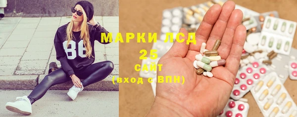 ГАЛЛЮЦИНОГЕННЫЕ ГРИБЫ Алексин