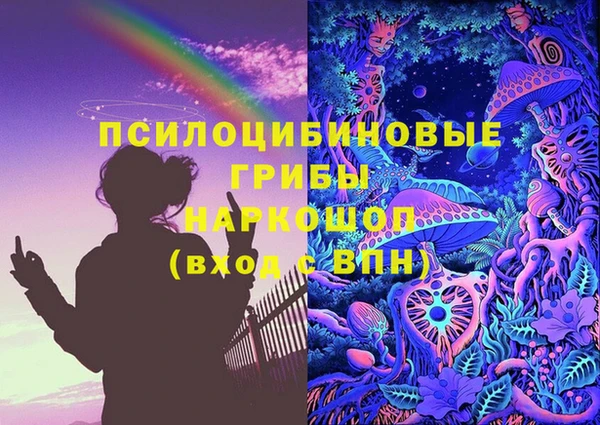 PSILOCYBIN Рославль