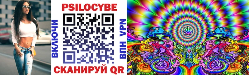 kraken ТОР  Дзержинский  Псилоцибиновые грибы Psilocybe 